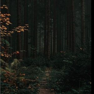 Meet your Posher, Chloe